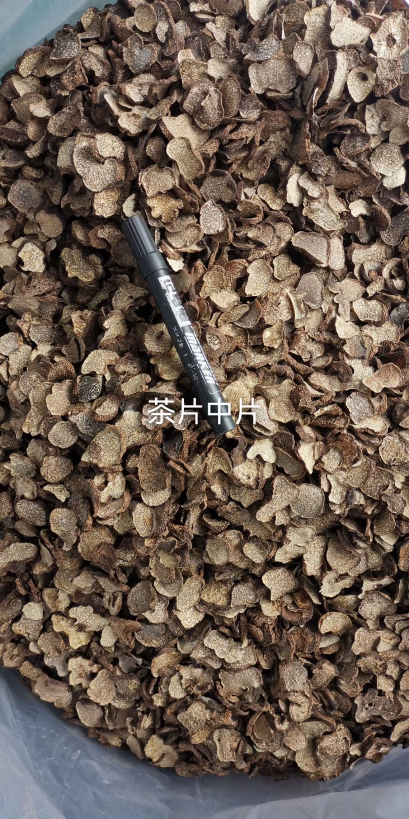云南松露块菌猪拱菌产地大量批发