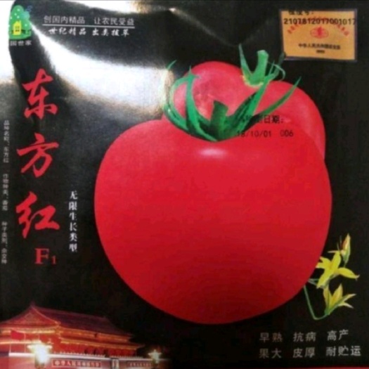 沭阳县东方红西红柿种子