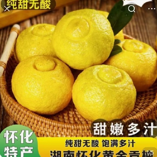 洪江市黄金贡柚（柑橘类）