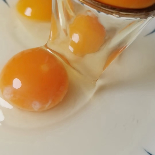 钟祥市散养土鸡蛋