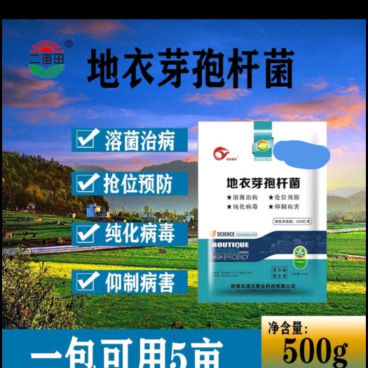 邯郸地衣芽孢杆菌，溶菌治病，抢位预防，钝化病毒，抵制病害！