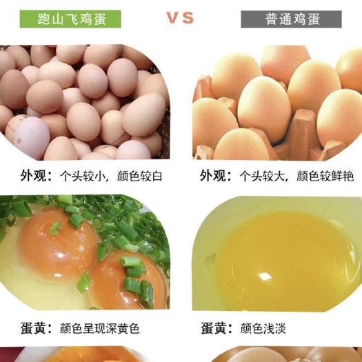 浠水县湖北土鸡蛋，红心