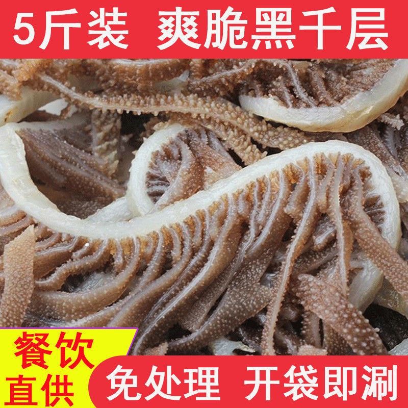 【鲜毛肚】牛百叶 黑千层肚5斤装牛肚丝重庆火锅麻辣烫食材批发