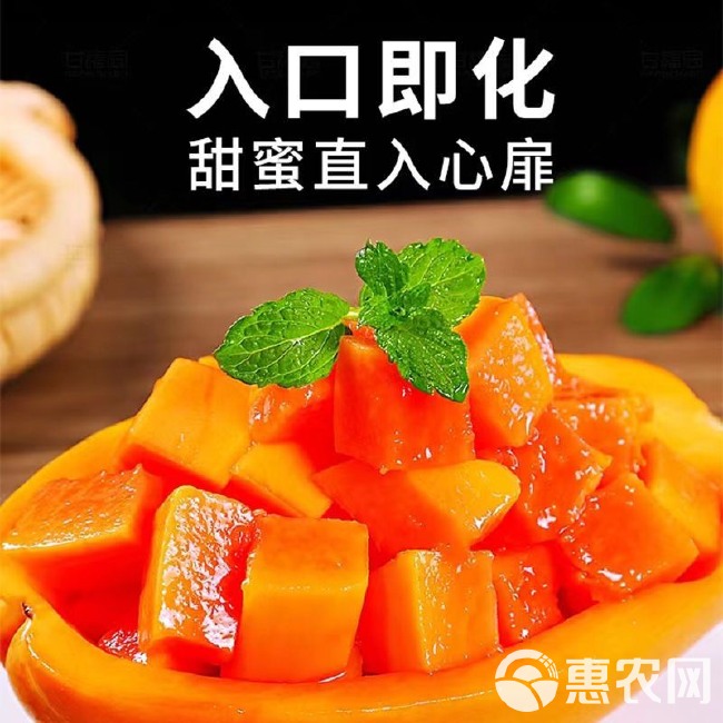 广东青木瓜新鲜现摘流奶产妇下奶生木瓜水果沙拉腌酸泡菜农家自种