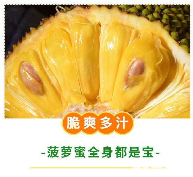【一件代发】海南产地黄肉菠萝蜜新鲜水果菠萝干苞整个批发包邮