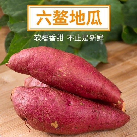 【正棕六鳌红蜜薯】福建沙地红心地瓜新鲜红薯香甜软糯无丝5/9