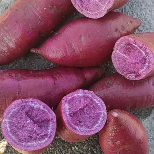 遂溪县紫薯工厂货