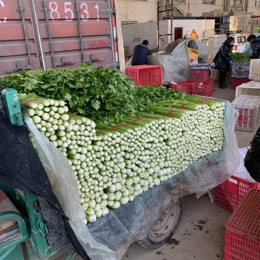 邯郸芹菜，西芹