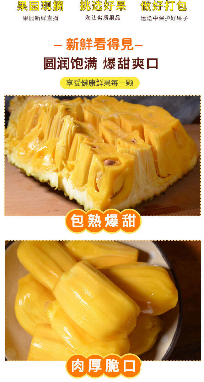 【一件代发】海南产地黄肉菠萝蜜新鲜水果菠萝干苞整个批发包邮