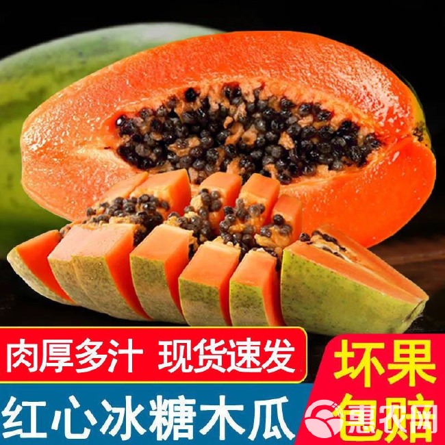 广东青木瓜新鲜现摘流奶产妇下奶生木瓜水果沙拉腌酸泡菜农家自种