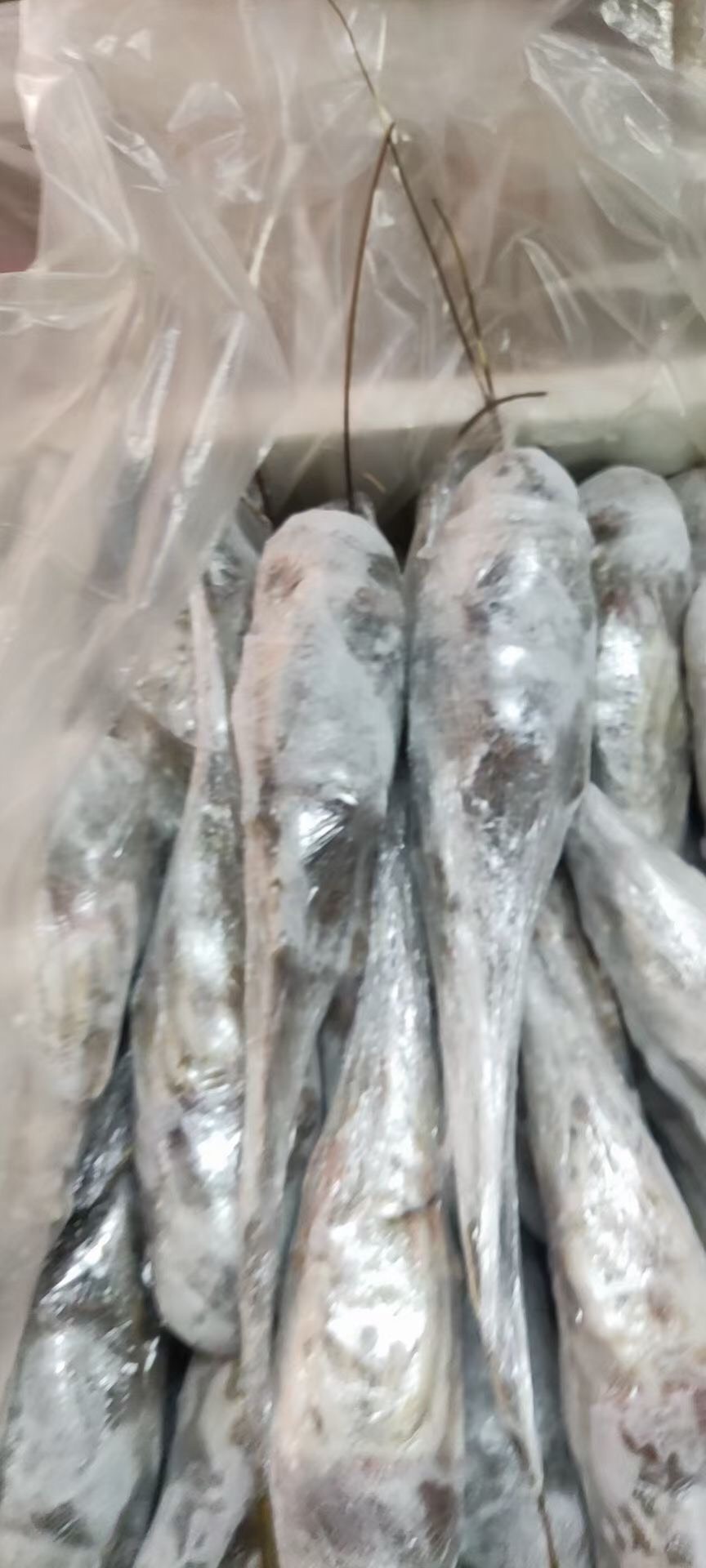 活冻锦绣大花龙锦绣花龙冰花龙虾大龙虾带证食材供应