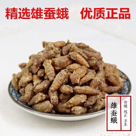 雄蚕蛾中药材 精选公蚕蛾魏天娥 未交雄蚕蛾男性泡酒