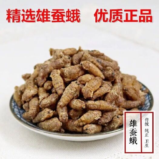 雄蚕蛾中药材 精选公蚕蛾魏天娥 未交雄蚕蛾男性泡酒