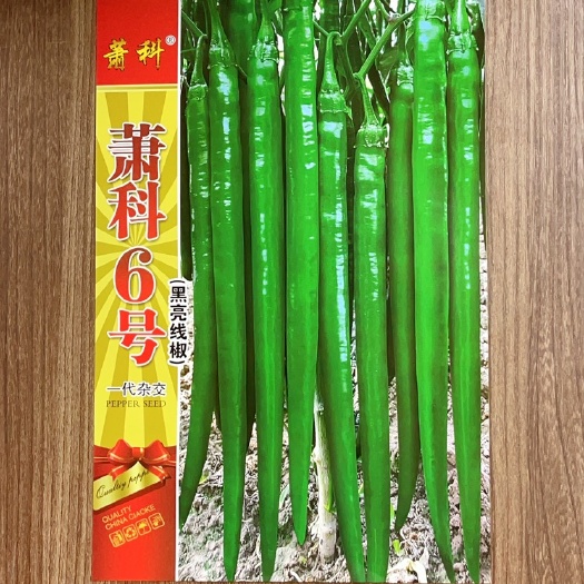 萧县萧科6号 黑亮线椒 口感好 味辣有香味 综合抗性强 耐储运