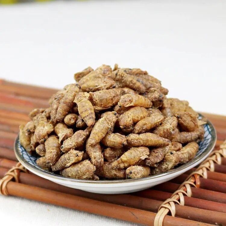 雄蚕蛾中药材 精选公蚕蛾魏天娥 未交雄蚕蛾男性泡酒