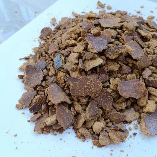 屏山县玉米油饼 油脂含量高 脂肪15 育肥使用 全国发货