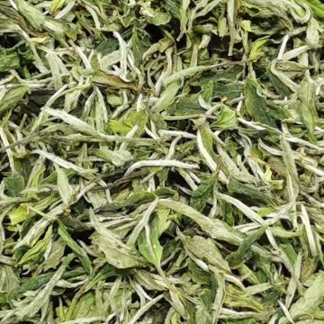 福鼎市福鼎白茶一级白牡丹