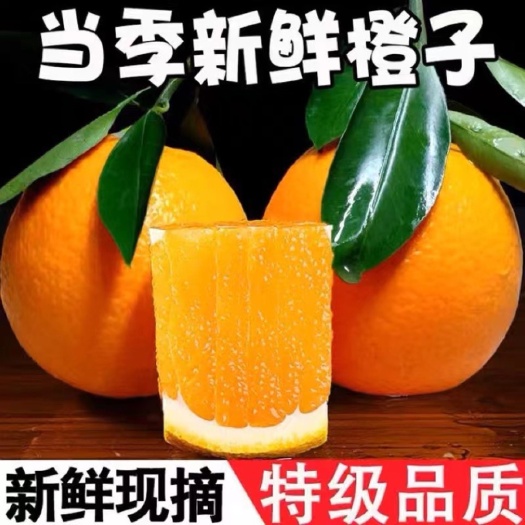 奉节正宗奉节脐橙整箱现摘现发当季新鲜水果