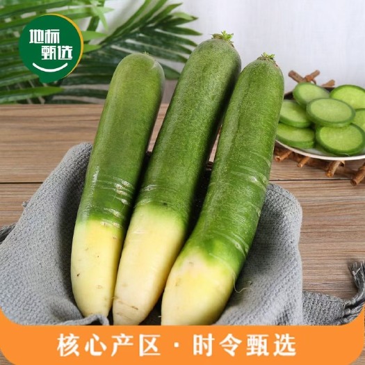 潍坊潍县萝卜-水果萝卜、青萝卜
