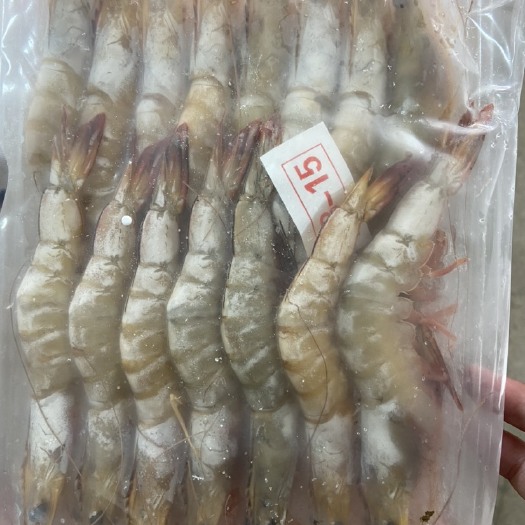 北海明虾