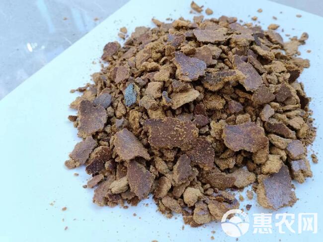 玉米油饼 油脂含量高 脂肪15 育肥使用 全国发货