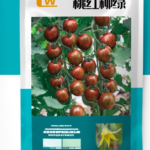 桃红柳绿樱桃番茄种子