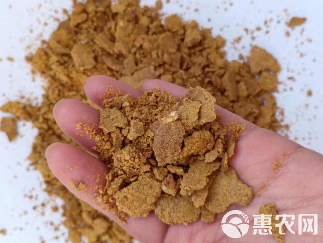 玉米油饼 油脂含量高 脂肪15 育肥使用 全国发货