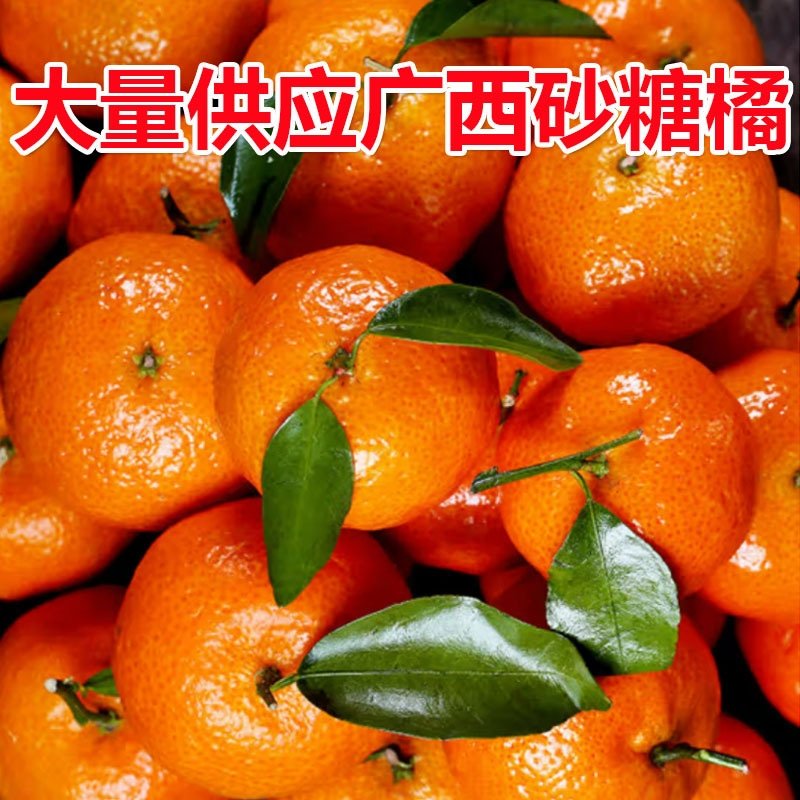 兴安县广西沙糖桔产地实力代收代发对接社区团购