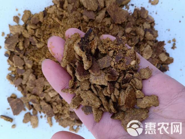 玉米油饼 油脂含量高 脂肪15 育肥使用 全国发货