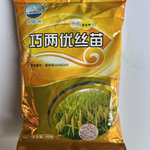 华容县大田种植巧两优丝苗水稻杂交种子一级中稻谷抗性好高产500克
