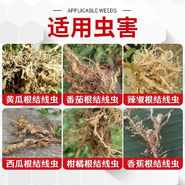 30%噻唑膦 真格炸线微囊悬浮剂大姜黄瓜根结线虫根瘤病线虫杀