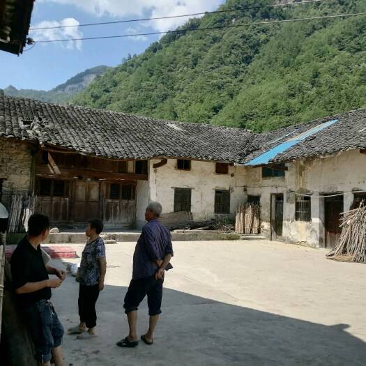 重庆市南川区1000平民房出zu，可改成三合院，价格面议