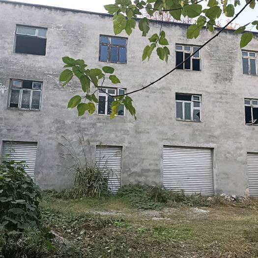 重庆市虎峰山单家独院