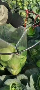 宜城市一手货源质量保证