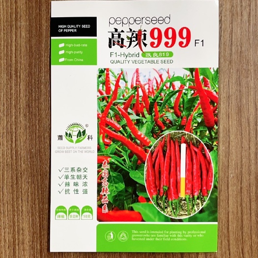 萧县高辣999 早熟单生朝天椒品种 辣味浓抗病好 适合作干椒品种