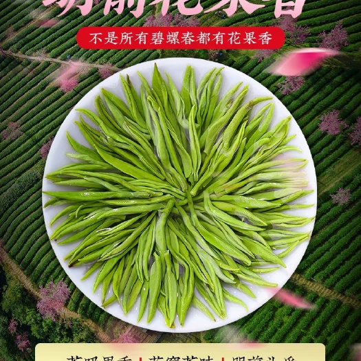 昆山市2024明前碧螺春茶叶新茶浓香型