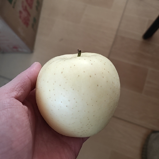 绥中县黄元帅