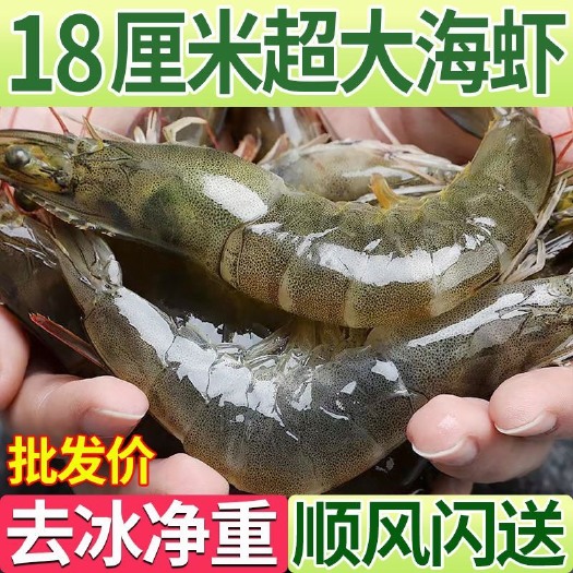 青岛大虾超大水冻海虾鲜活冷冻白虾新鲜海捕大虾，一单包邮到家。