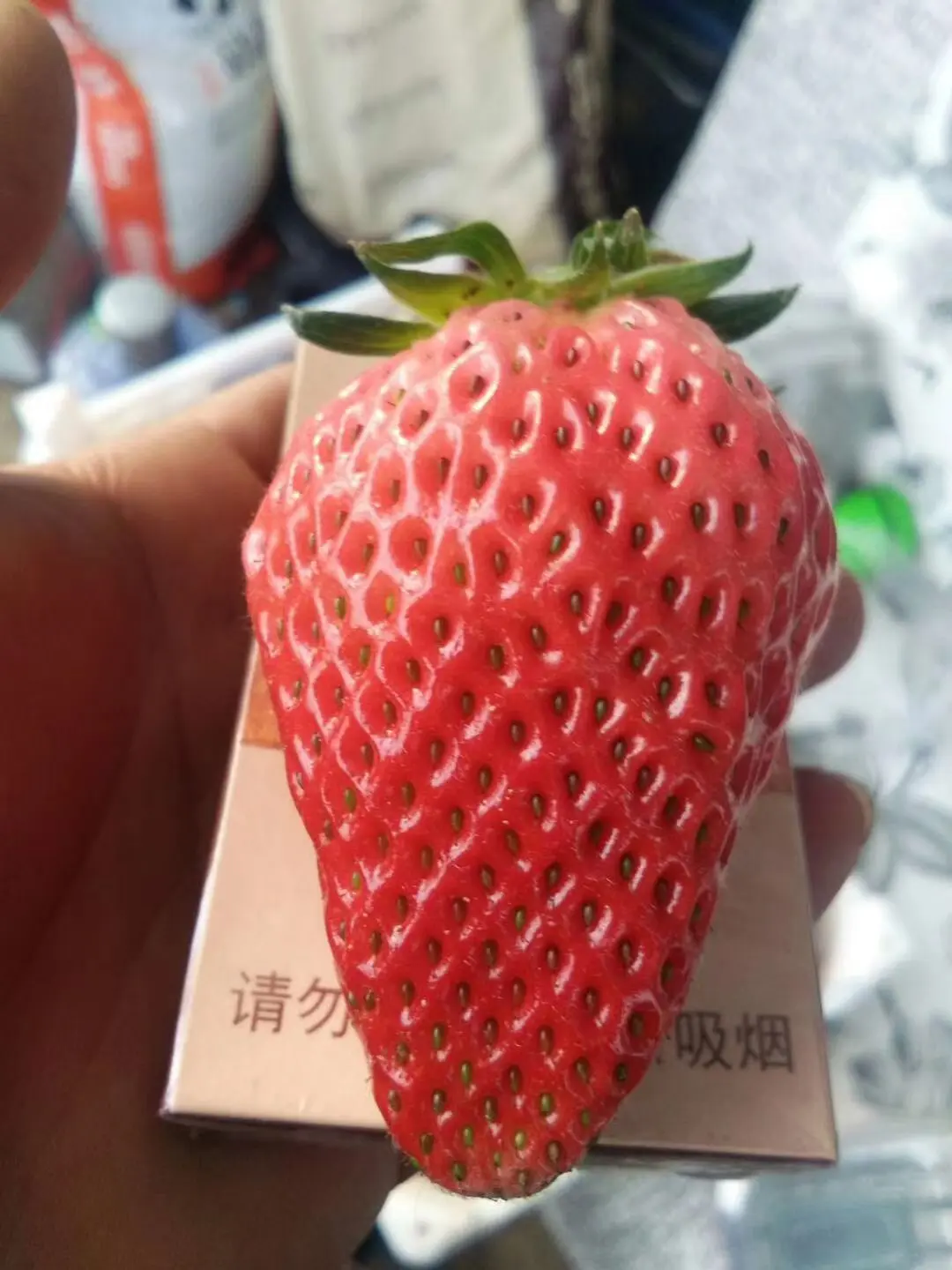 徐州徐州地区宁玉草莓，基地至批，可代办代收