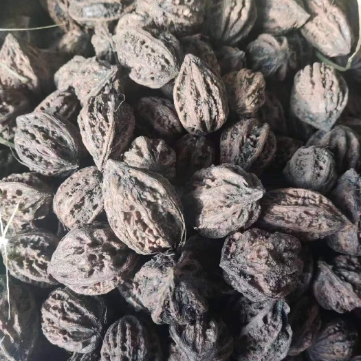 尚志市天然的 大山里山核桃
