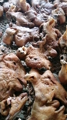 冠县羊脸