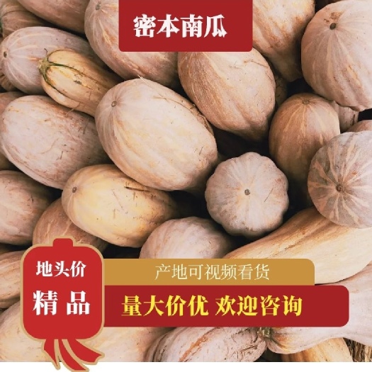 松滋市金韩蜜本南瓜5斤起 全黄老南瓜 加工厂养殖场南瓜 一手货源
