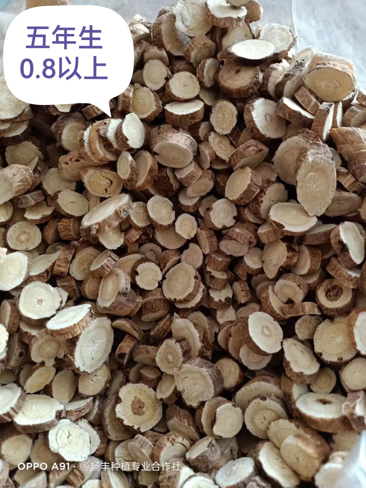 内蒙古武川正北小叶黄芪道地老区中药材软质棉芪