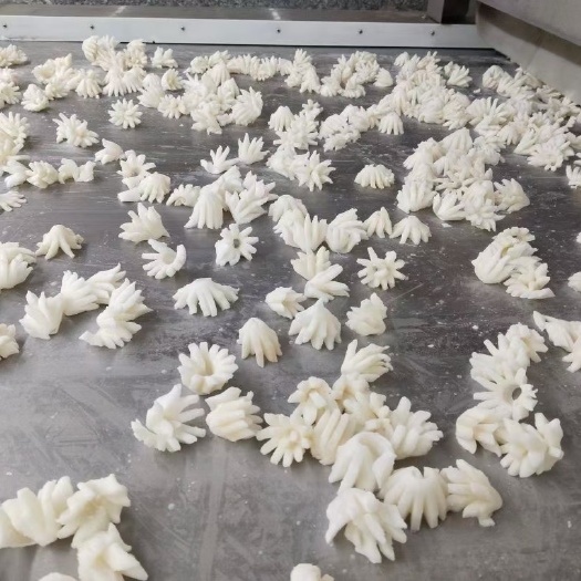 烟台鱿鱼小樱花