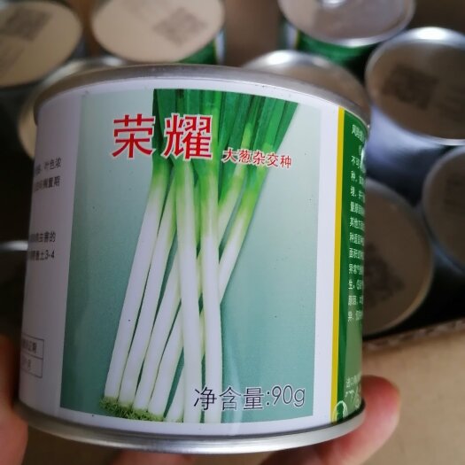 潍坊铁杆葱苗，抗病性强，抗旱涝，一手货源全国发货