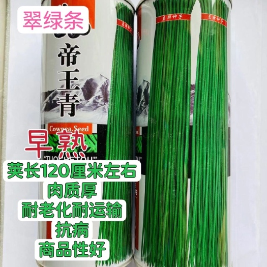 沭阳县帝王青翠绿条豆角种子豇豆早熟耐老化运输抗病露天蔬菜种籽