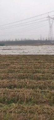 郏县现拔