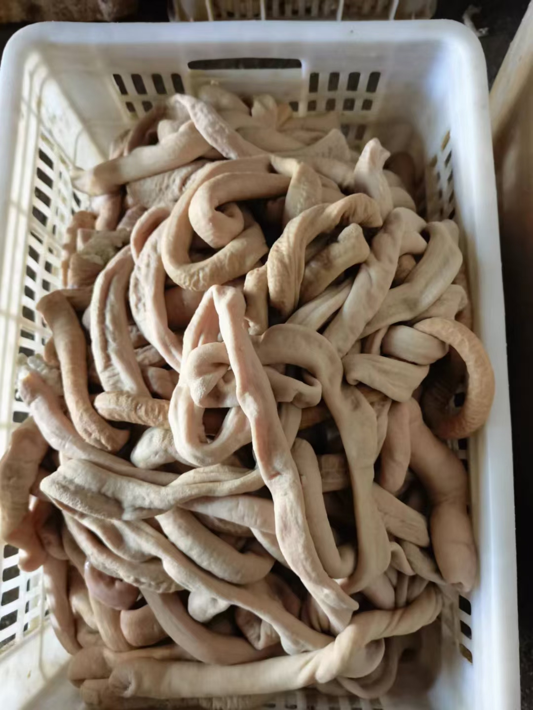 阳信县牛肠