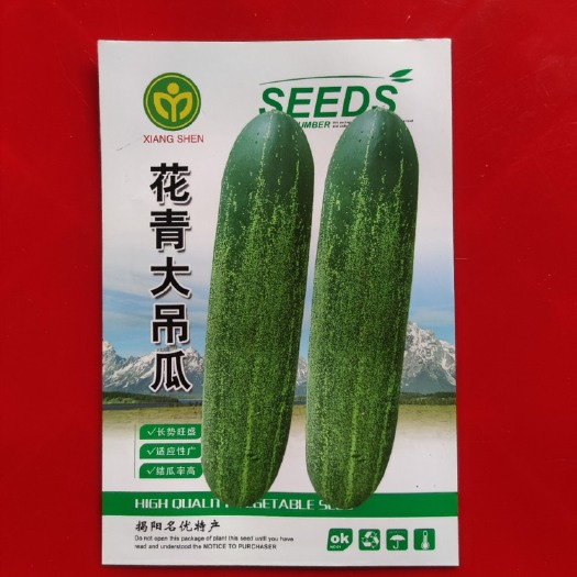 广州花青大吊瓜种子10克产量高耐热型水果黄瓜座果率高易种植抗病优