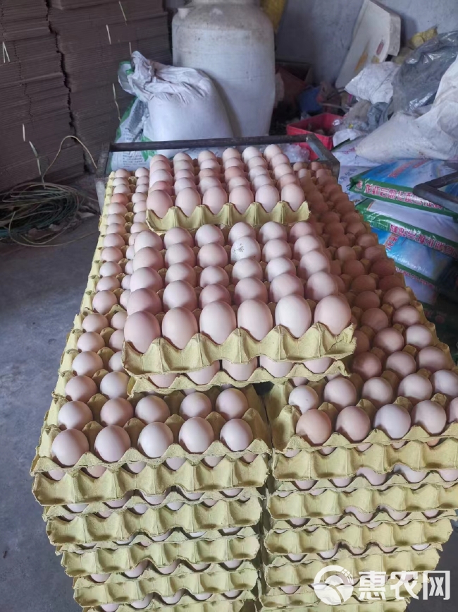 【散养土鸡蛋批发】35-38斤 粉壳土鸡蛋  基地直销